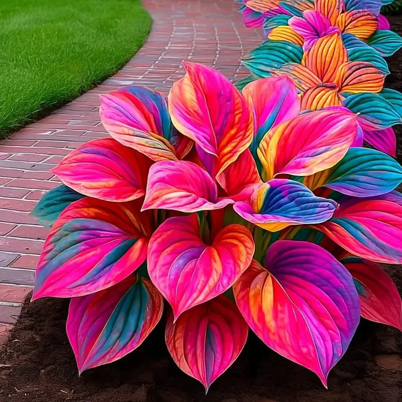 /69a86c2ec40c1b0009397dd8/2026/04/14/product-img-69ddedebf707c0639afa46f0.png